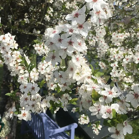 Bed & Breakfast Ancien Relais De Poste The Old Post Office 4*