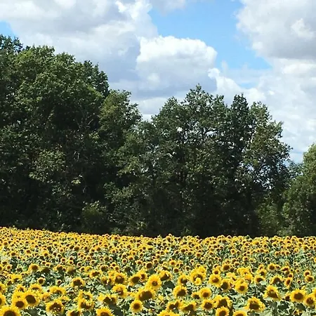 Bed & Breakfast Ancien Relais De Poste The Old Post Office