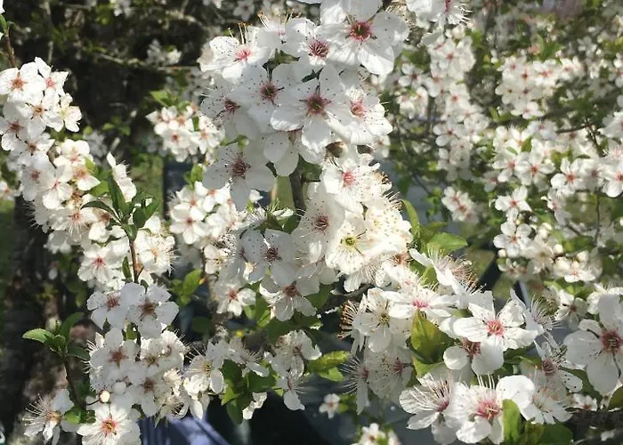 Panzió Ancien Relais De Poste The Old Post Office 4*