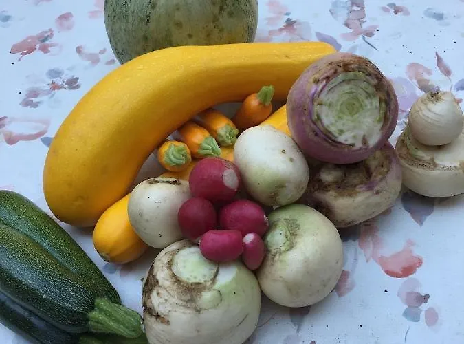 Ancien Relais De Poste The Old Post Office לינה וארוחת בוקר Saint-Martial-d'Albarede